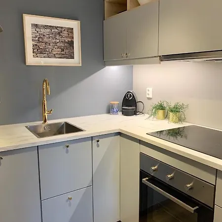 Nedre Stolen Apartment
