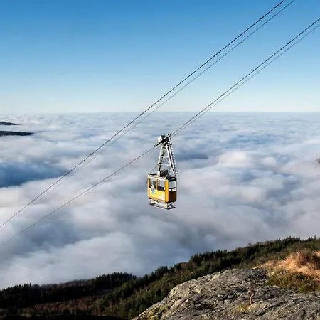 Lägenhet Nedre Stolen Bergen
